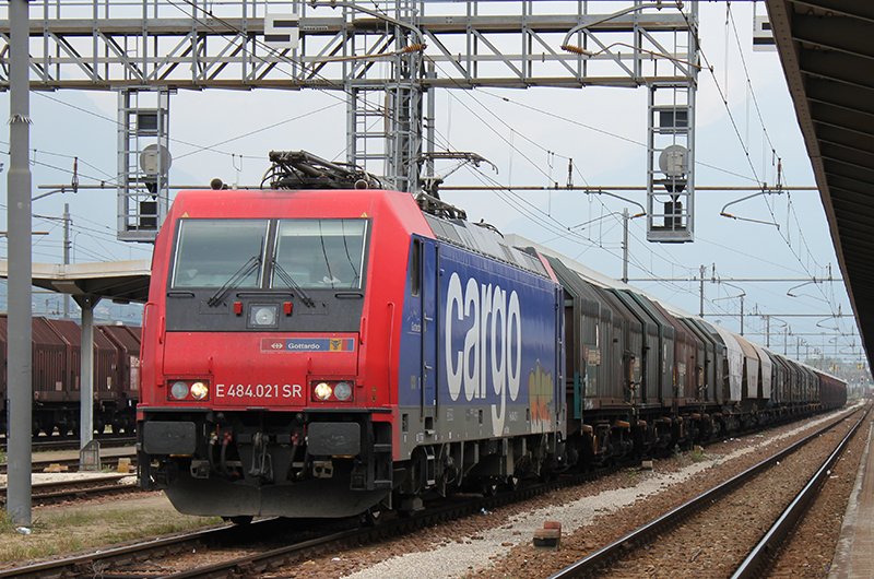 E_484_021_mercino_small.jpg